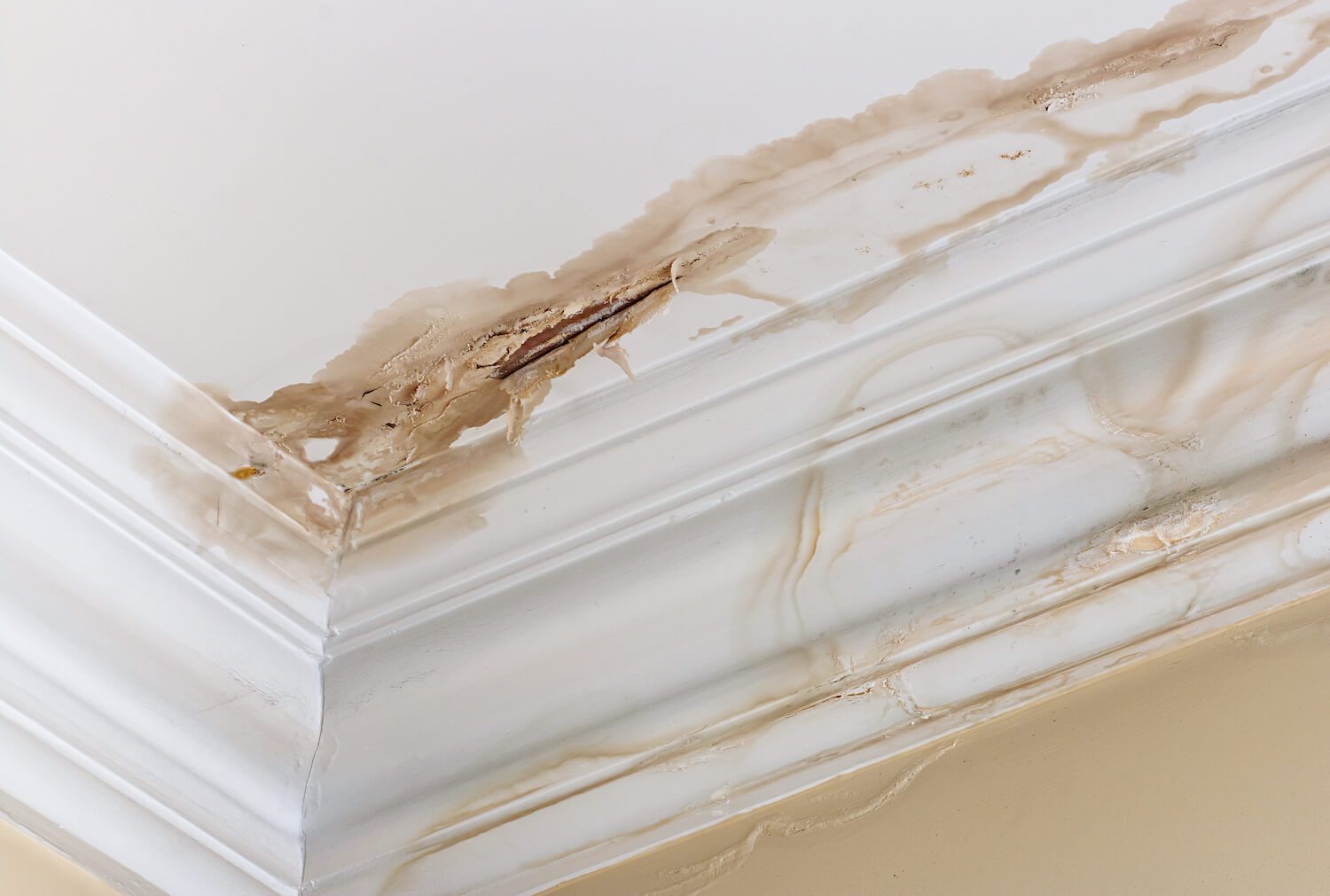 What to Do When Your Home Has a Roof Leak
