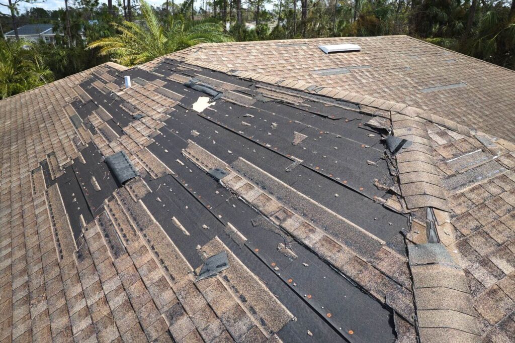 Re-roofing vs. Roof Repair design home